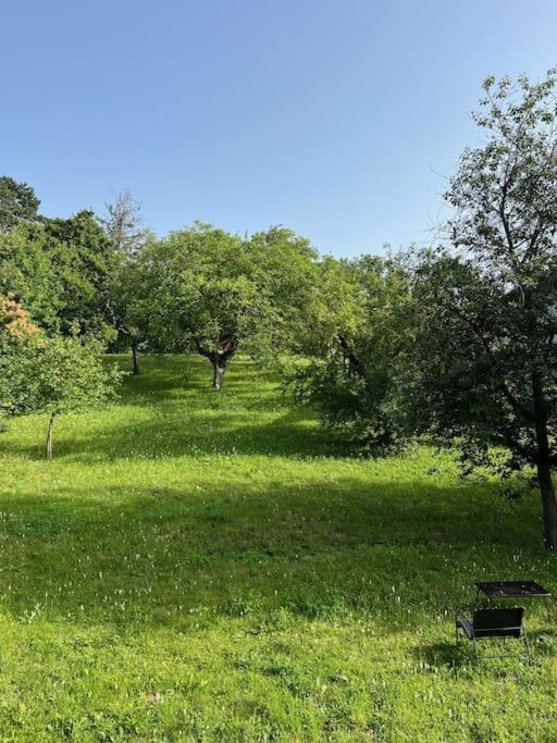Beletage Johann Strauss Klosterneuburg Exteriör bild